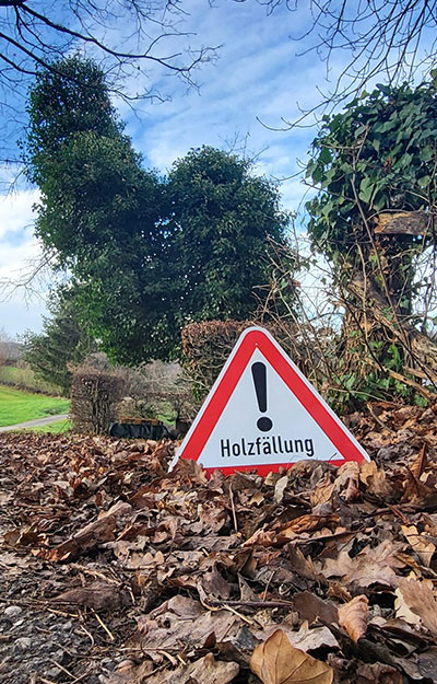 Baumfaellung Img 4